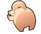 emote - shibbuns